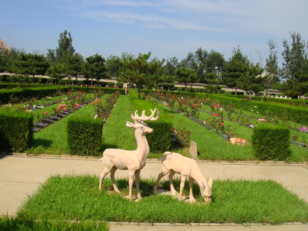 北京长安园骨灰林园区图片
