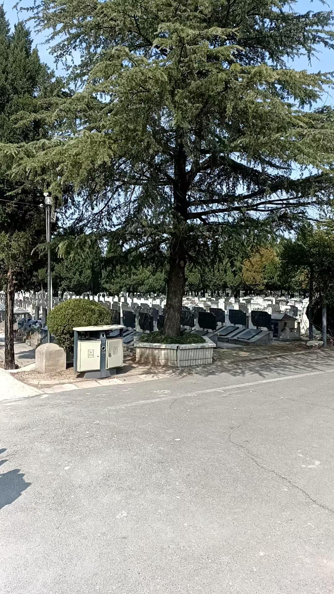 阜阳市颍州公墓有限责任公司园区图片