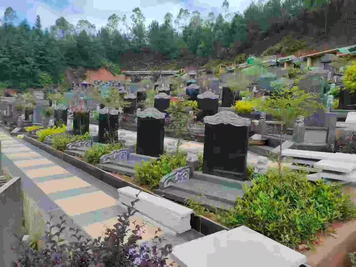 定南县宝福陵园建设有限公司园区图片