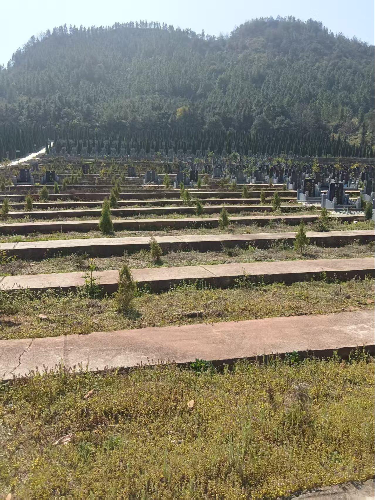 横峰县天台山福寿陵园有限公司园区图片