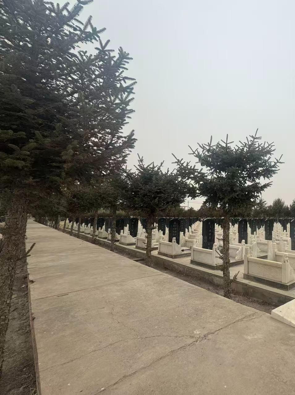 凉州区永丰公墓园区图片