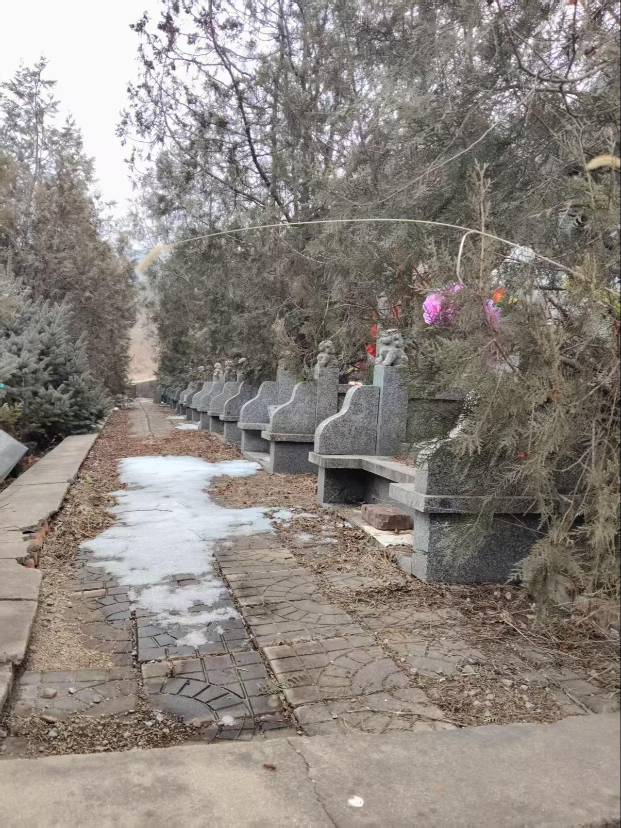 丰宁满族自治县云雾山公墓园区图片