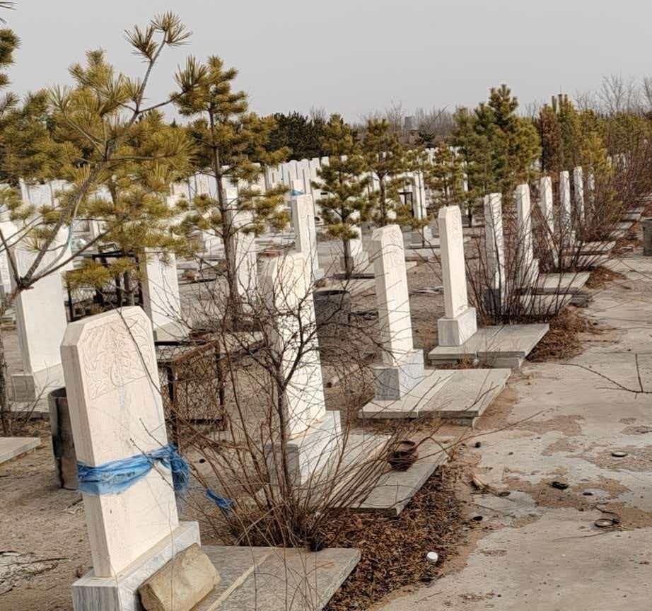 杭锦旗福寿龙陵园有限责任公司园区图片