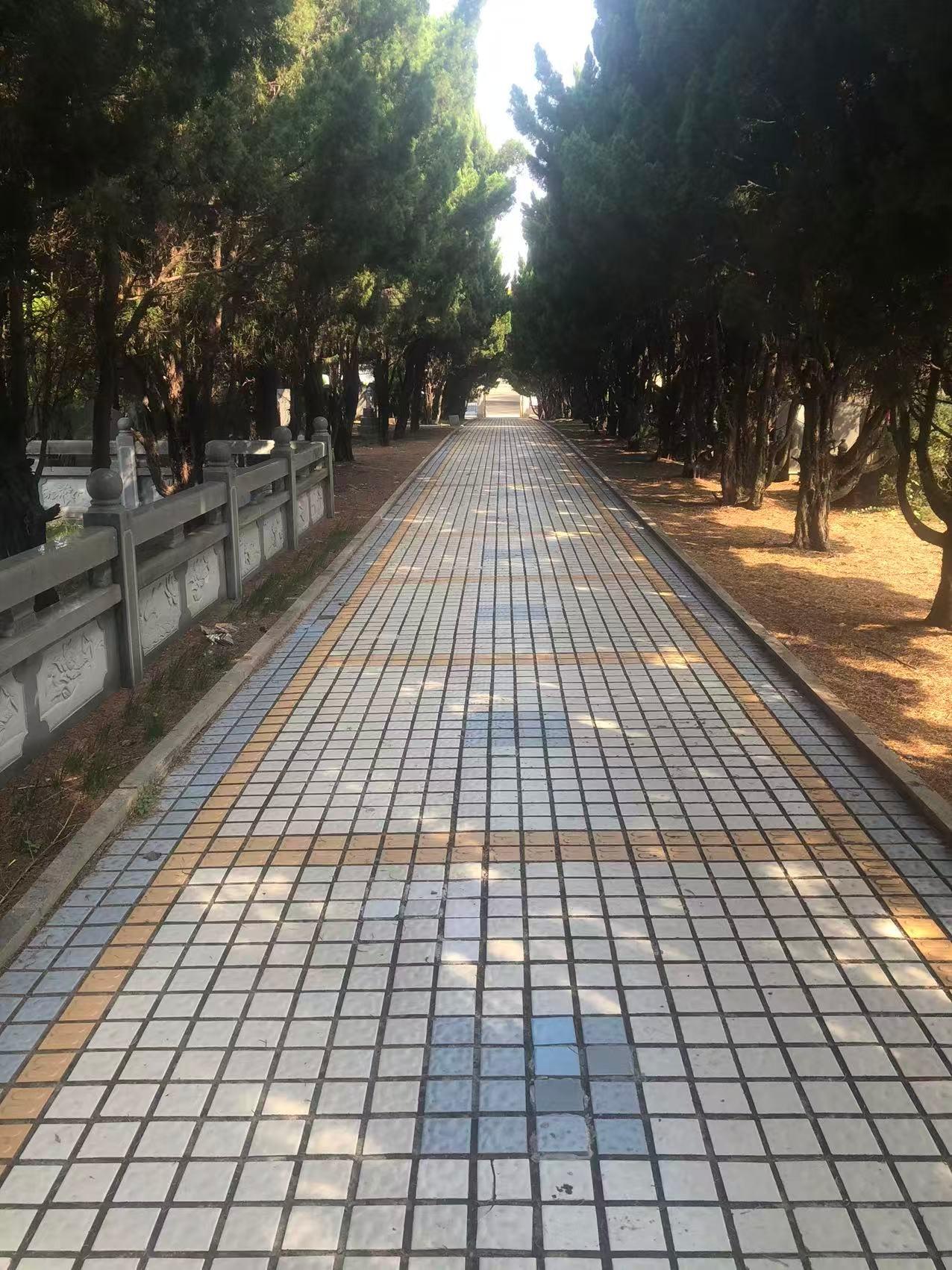 樟树市新基山公墓园区图片