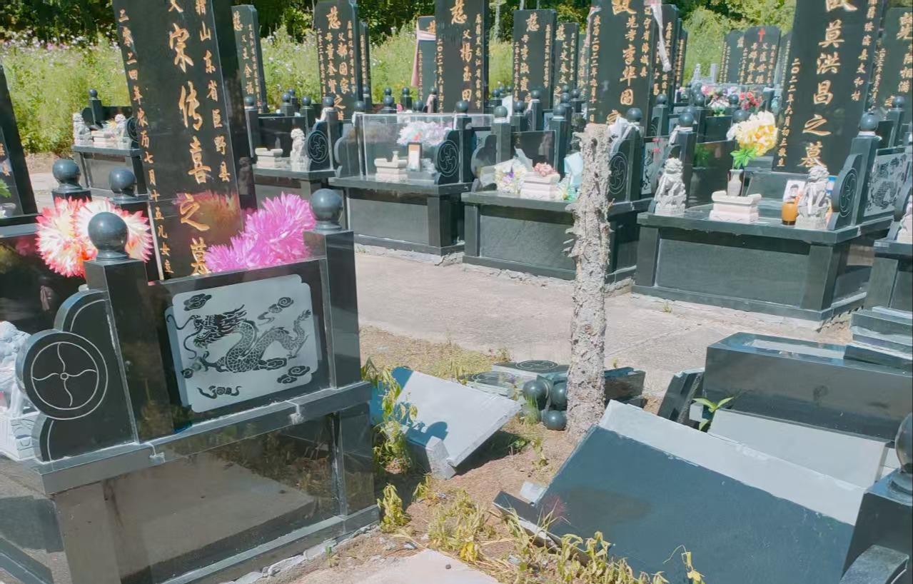龙凤山公墓园区图片