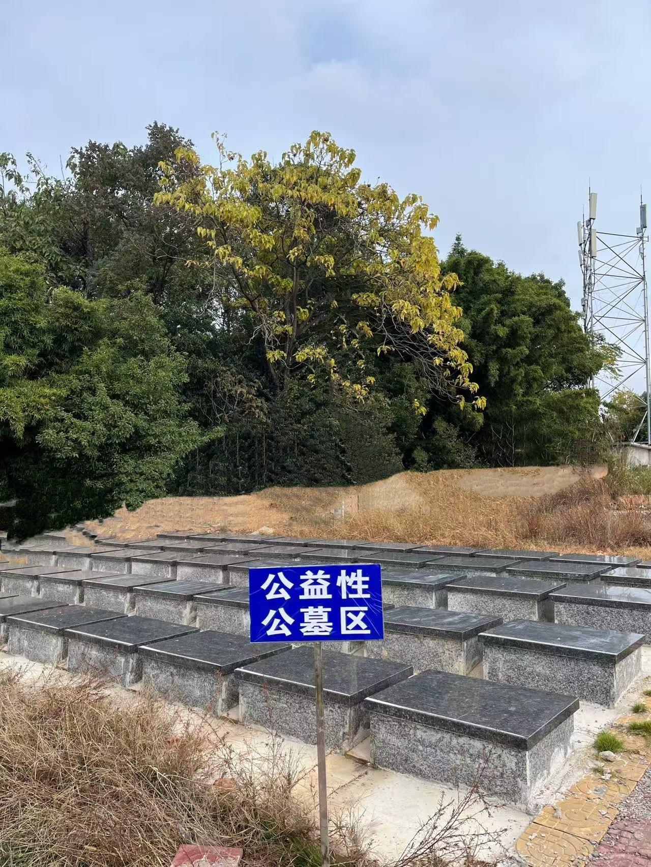 乐平市念慈陵园园区图片