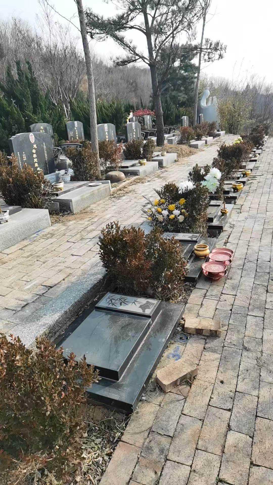 灵宝颐福陵园有限公司园区图片