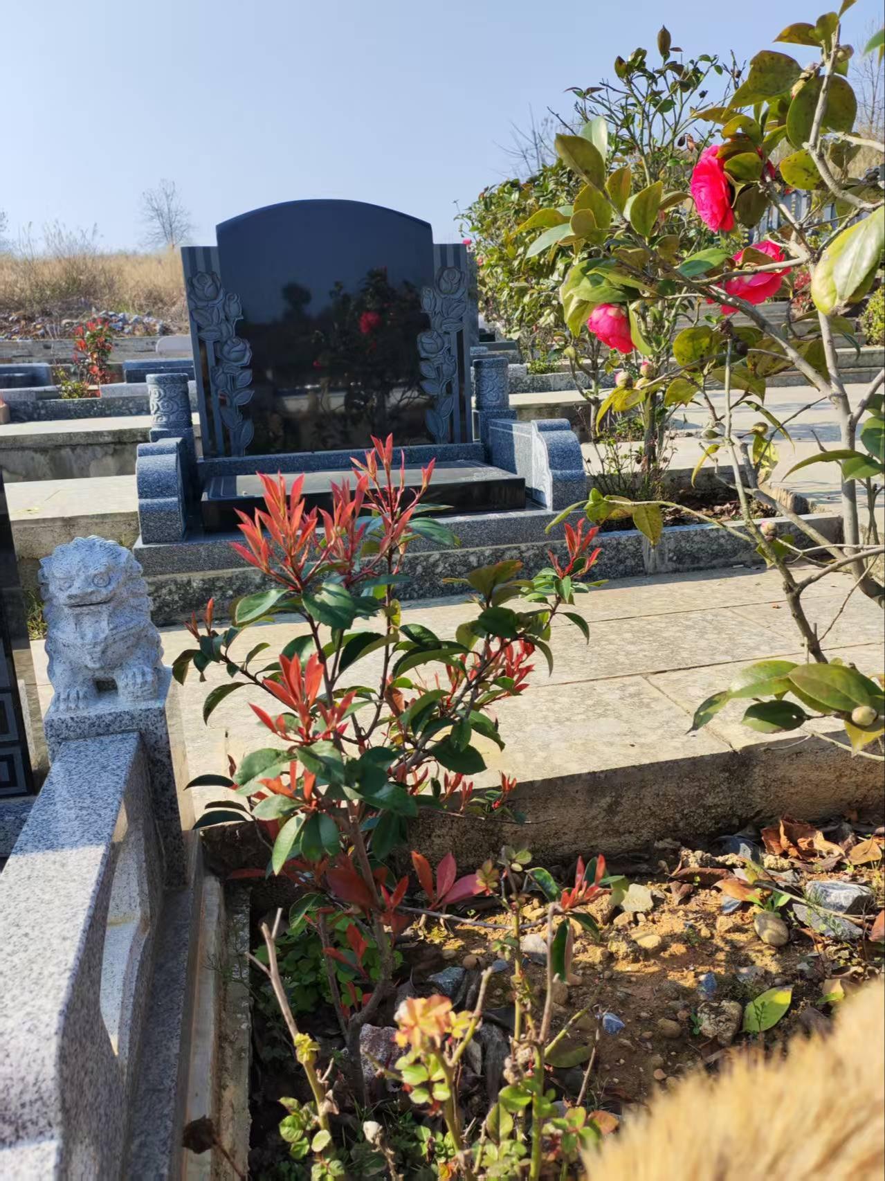 道县德道人文纪念园有限公司园区图片