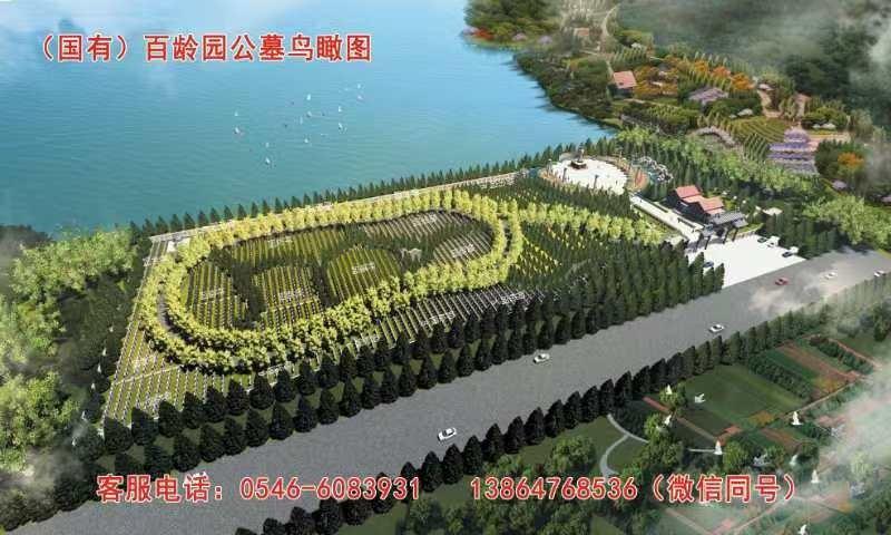 东营市河口区百龄园公墓园区图片