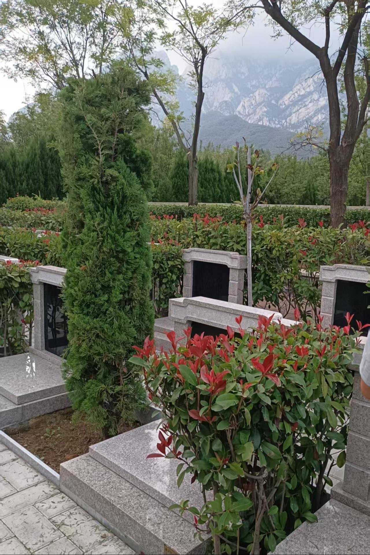 登封市莲花山福祥园公墓有限公司园区图片