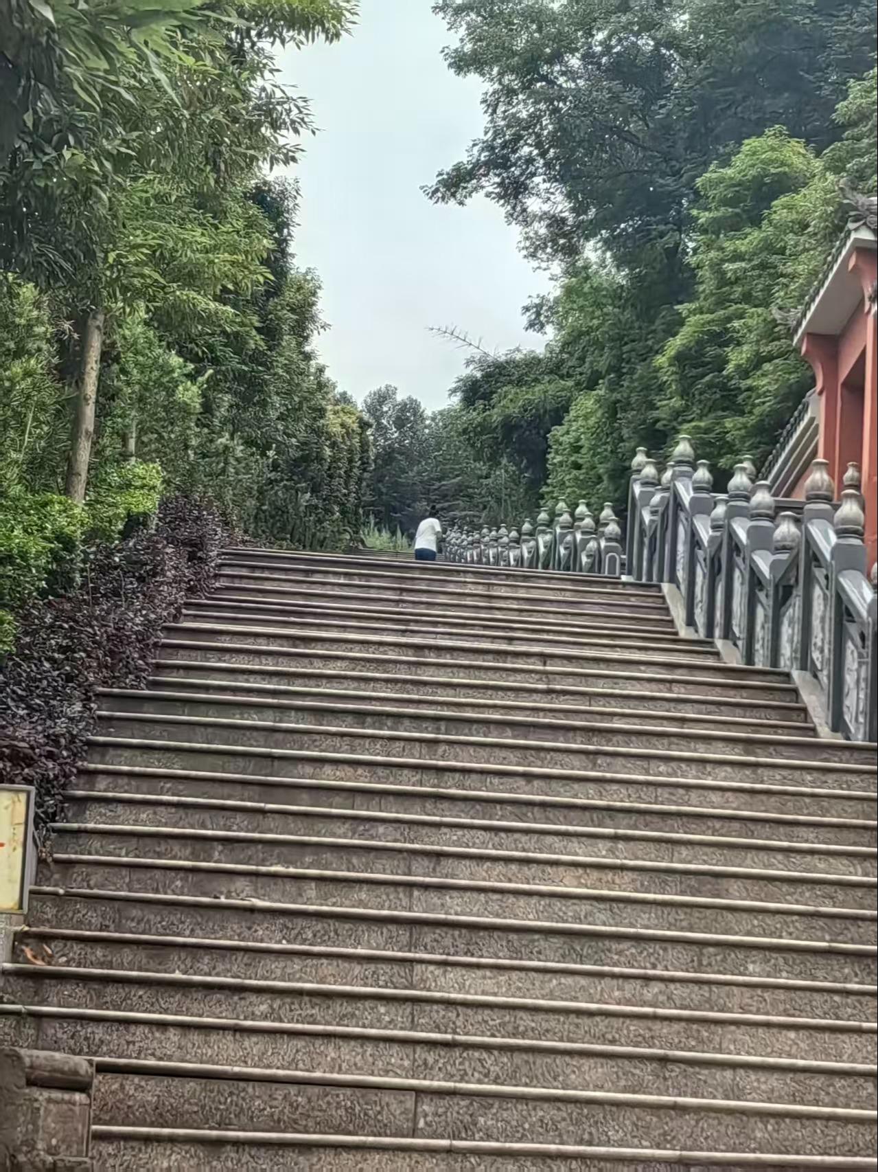 味江陵园园区图片