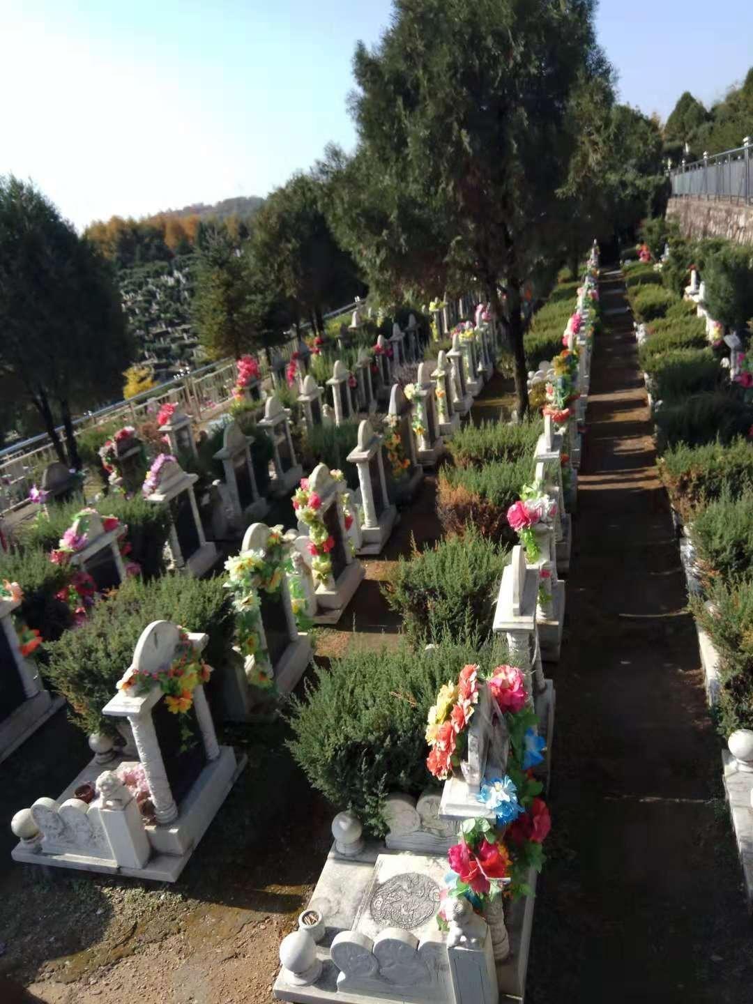 丹东市九龙墓园管理所园区图片