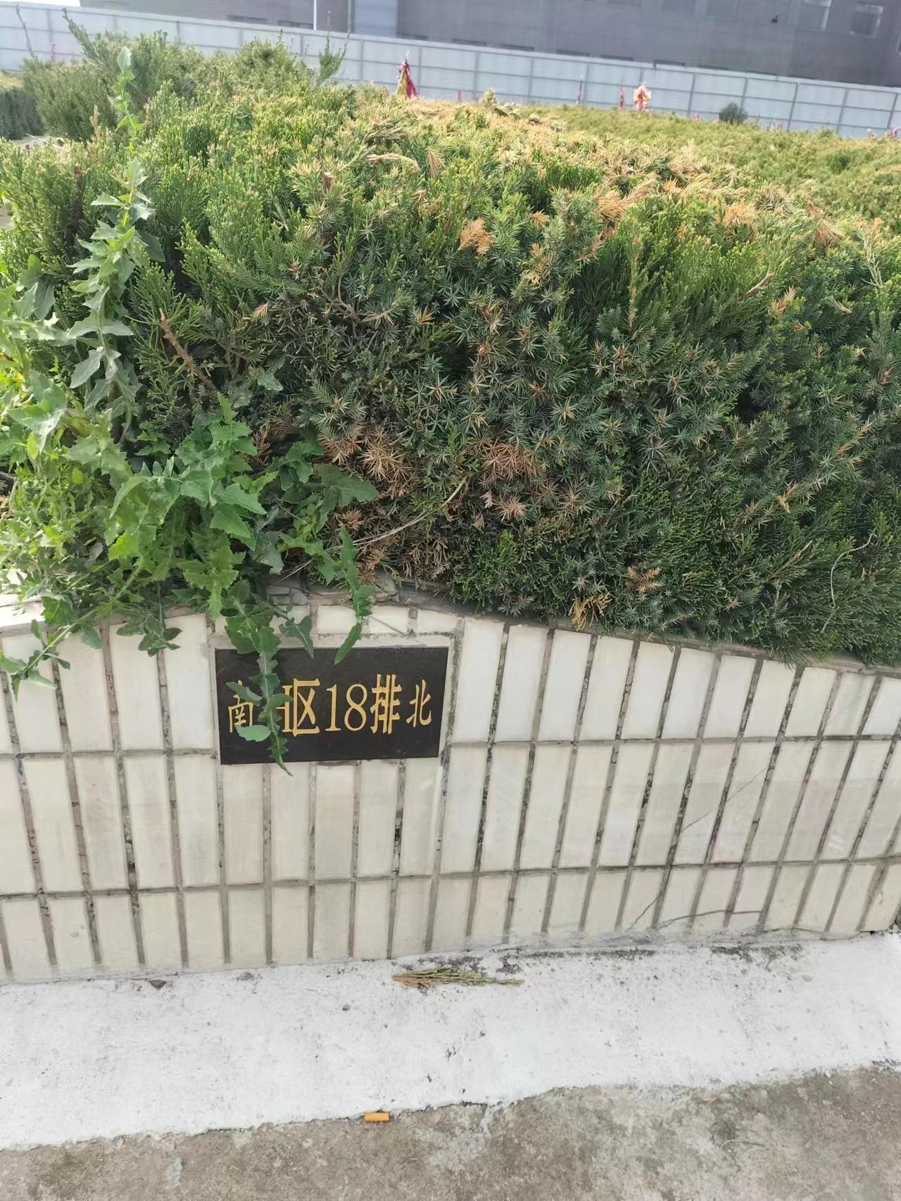 江阴市顾山镇北国纪念堂园区图片