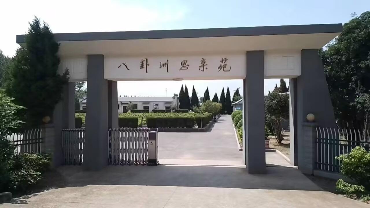八卦洲街道思亲苑
