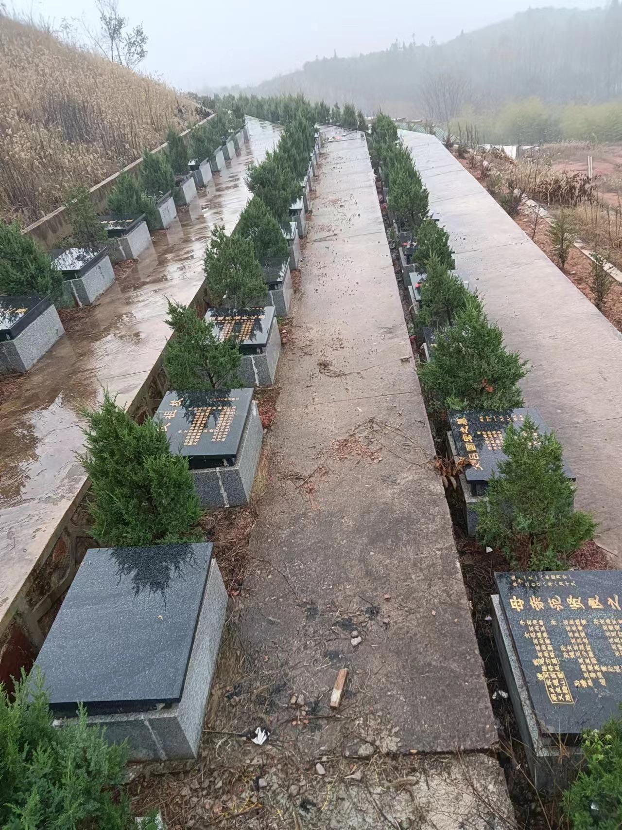 干汊河镇公益性公墓园区图片