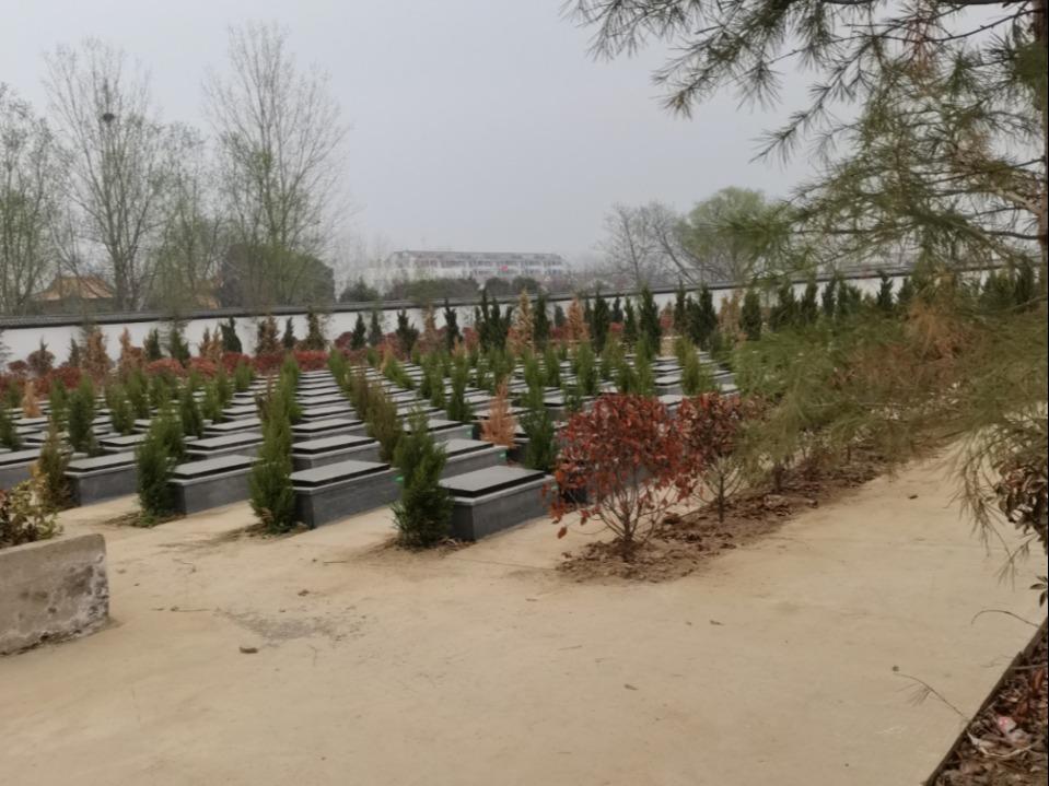 桃园镇吕寺村公益性公墓园区图片