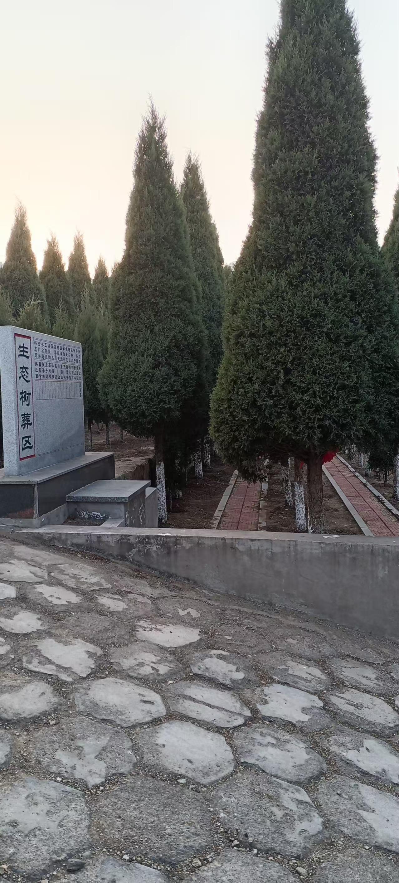 凌海市西山公益墓园园区图片