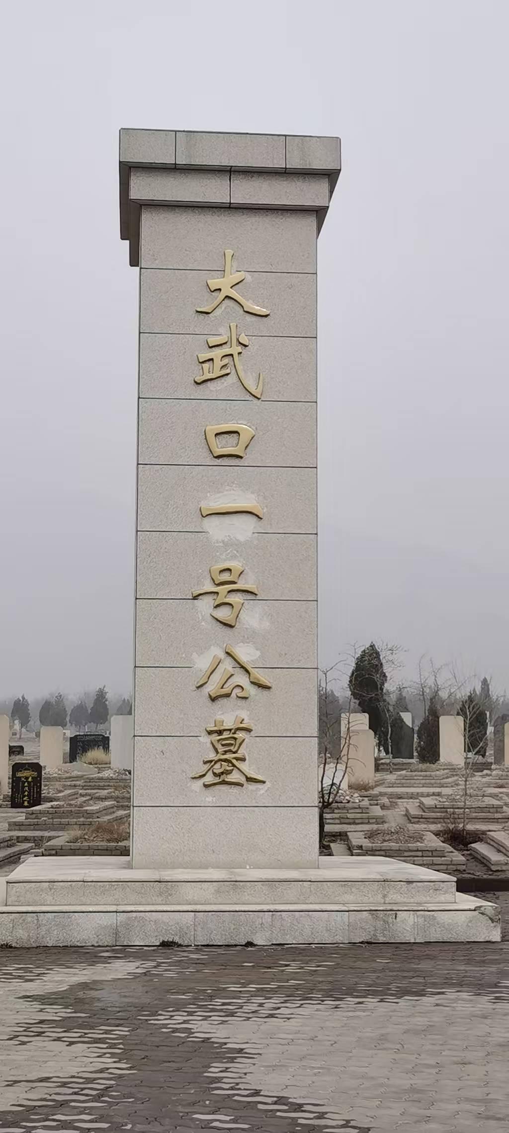 大武口区一号公墓园区图片