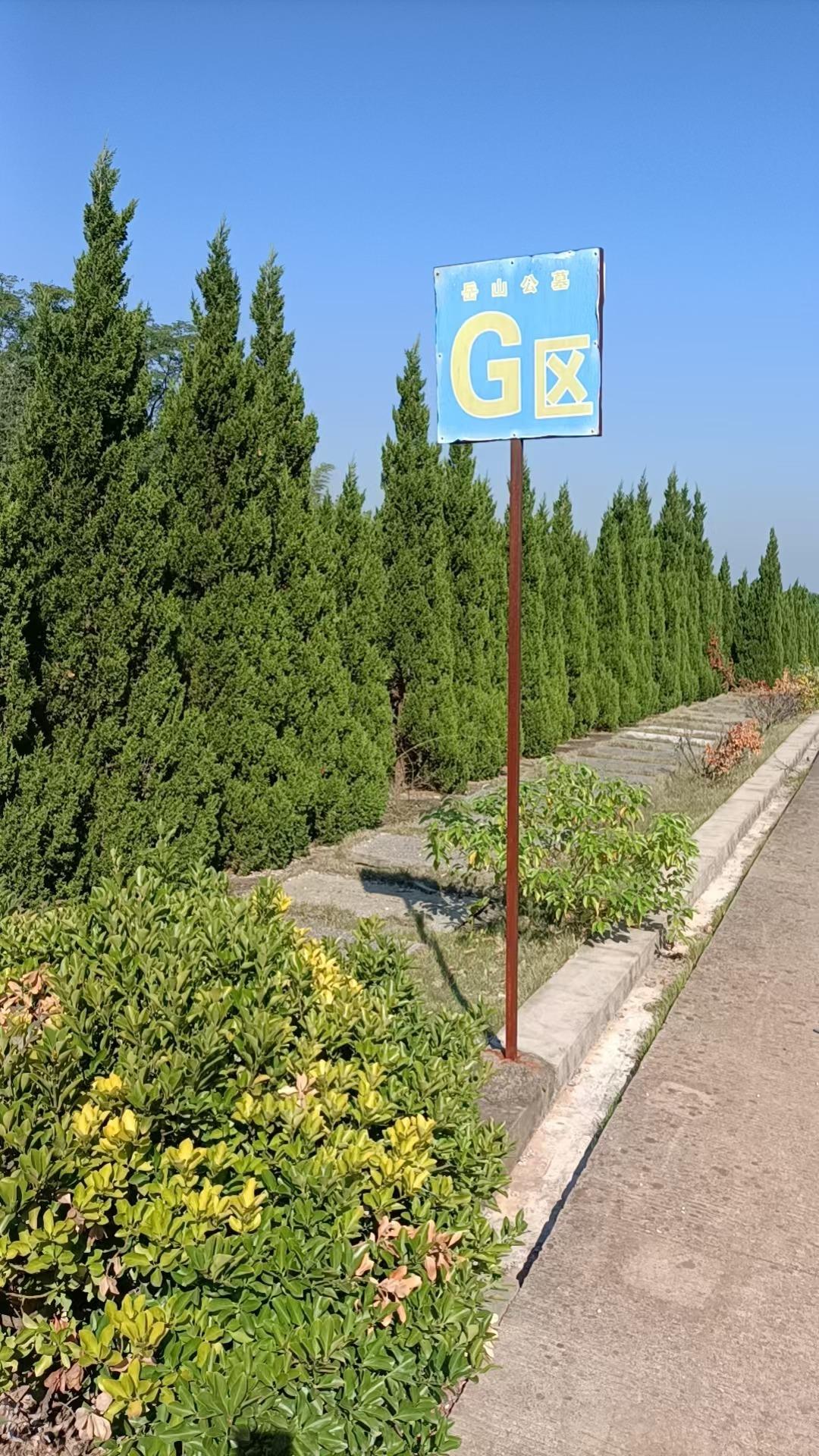 龙桥镇岳山公墓园区图片