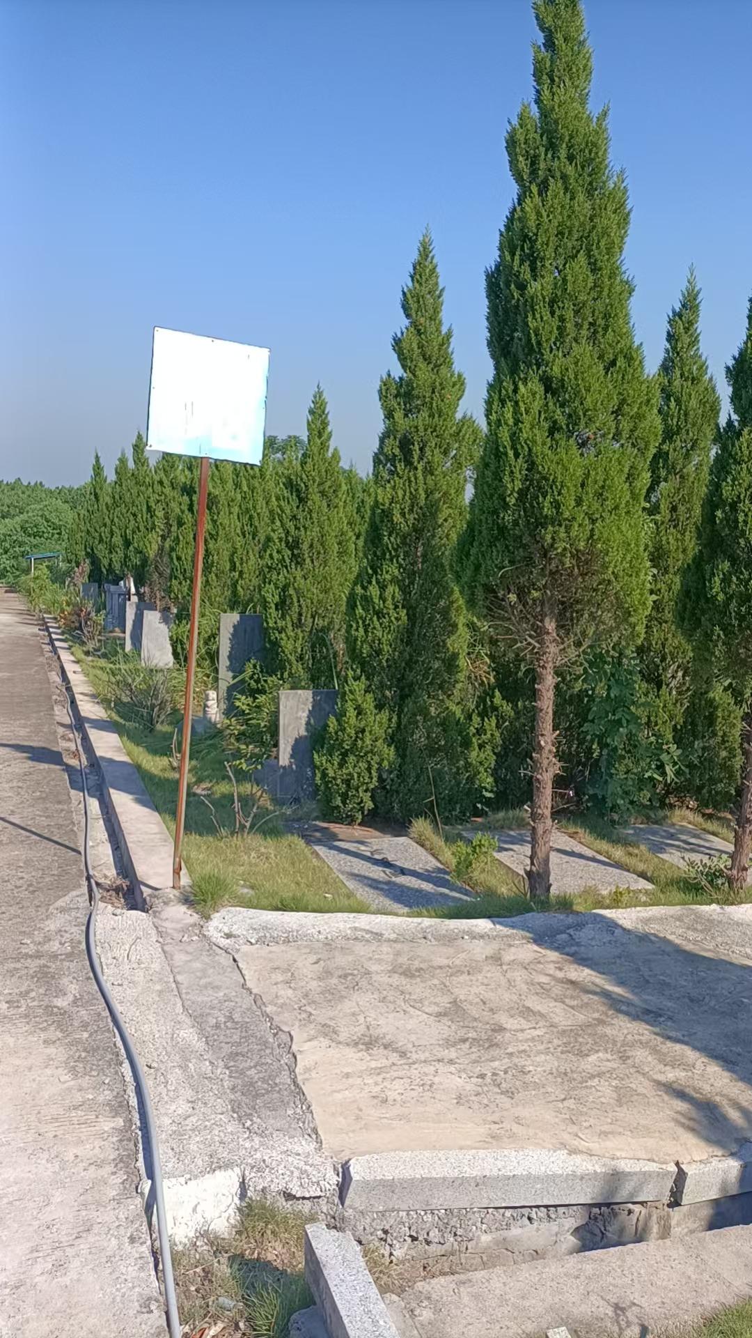龙桥镇岳山公墓园区图片