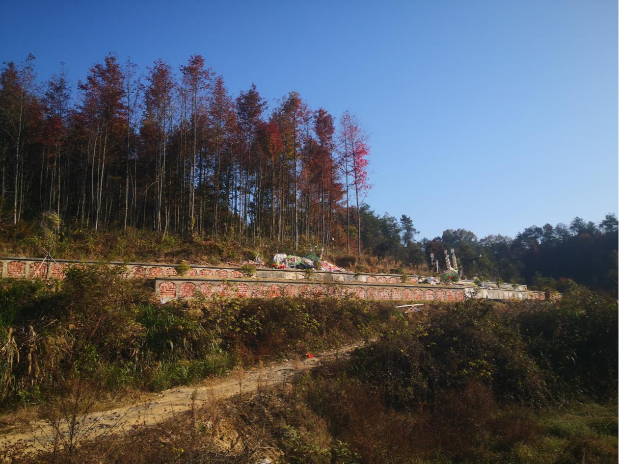 溪头镇溪头村对家岭公益性公墓