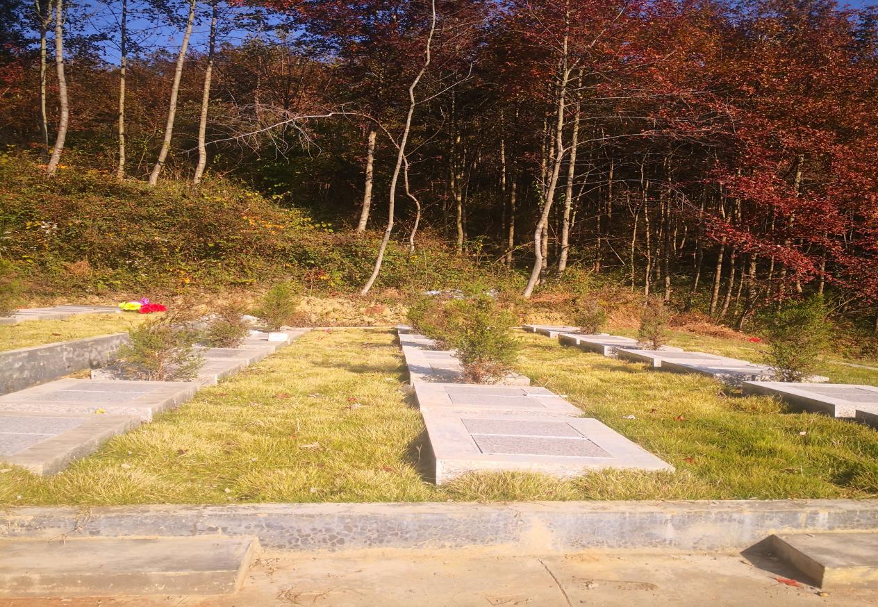 溪头镇溪头村对家岭公益性公墓园区图片