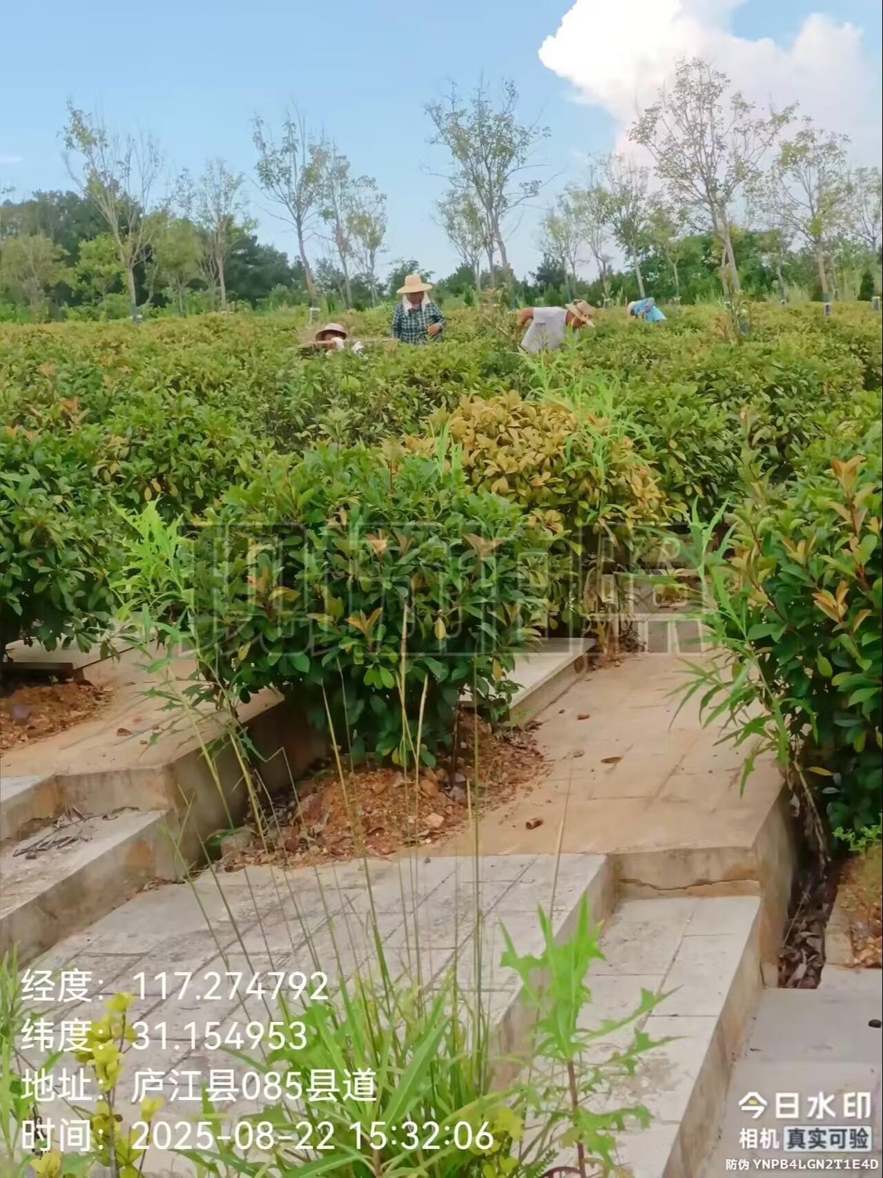 泥河镇福泉山公益性公墓园区图片
