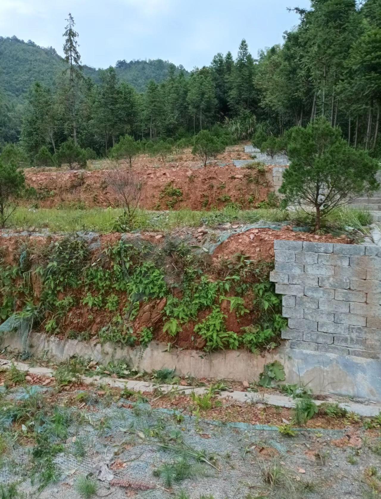 祁门县溶口乡景潭村公益性公墓园区图片