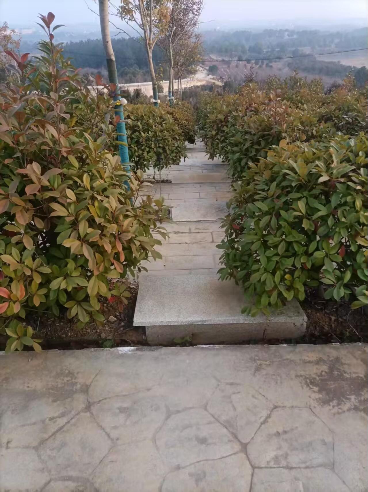 泥河镇福泉山公益性公墓园区图片