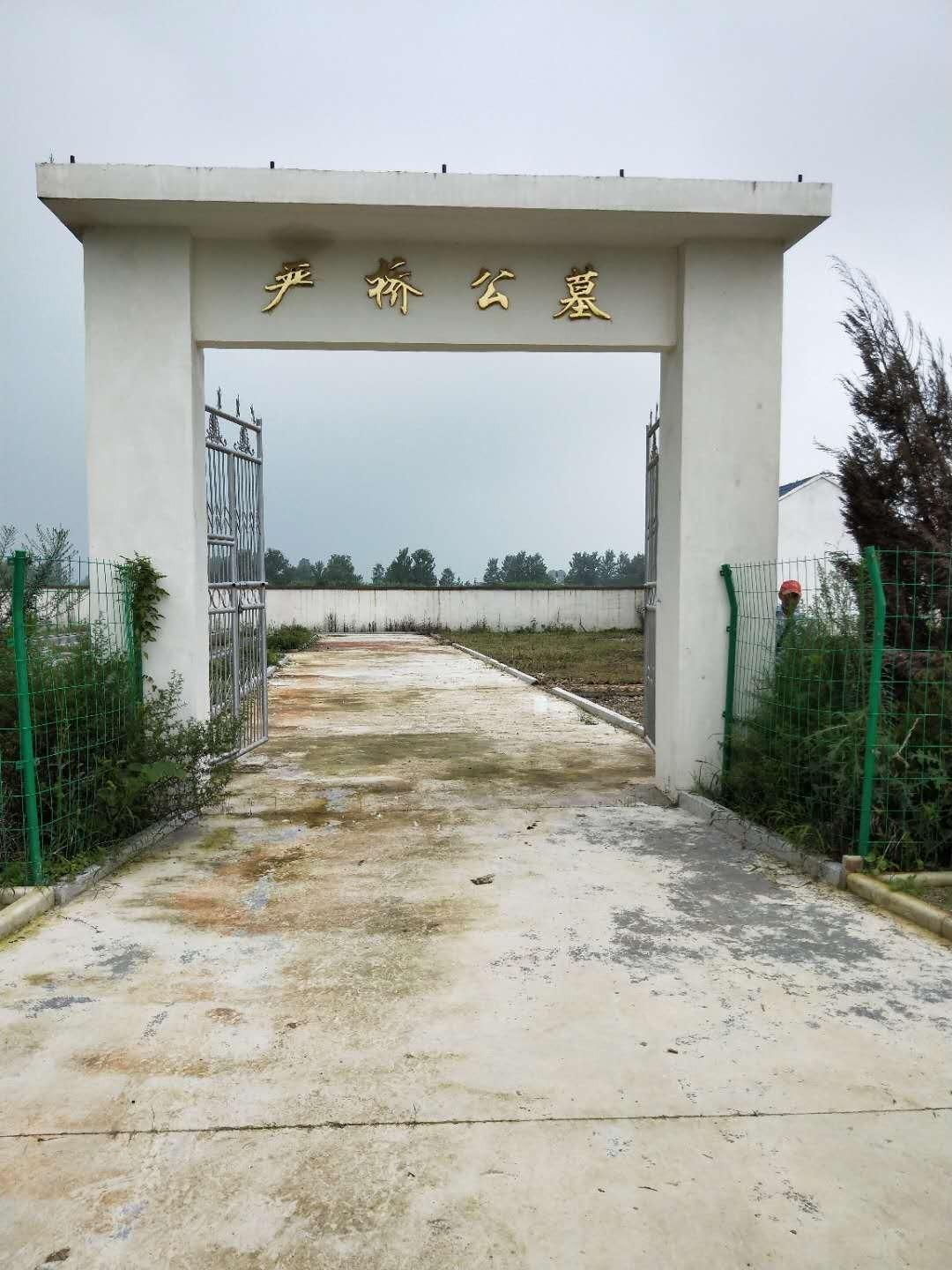严桥乡公益性公墓园区图片