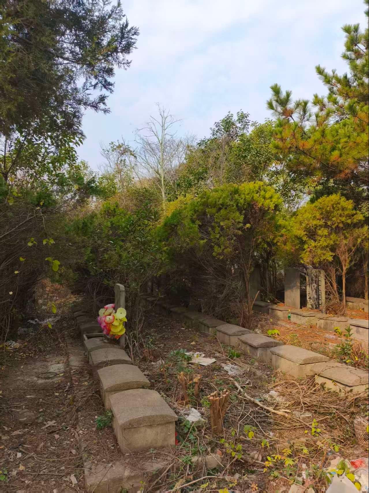 玉山公墓园区图片