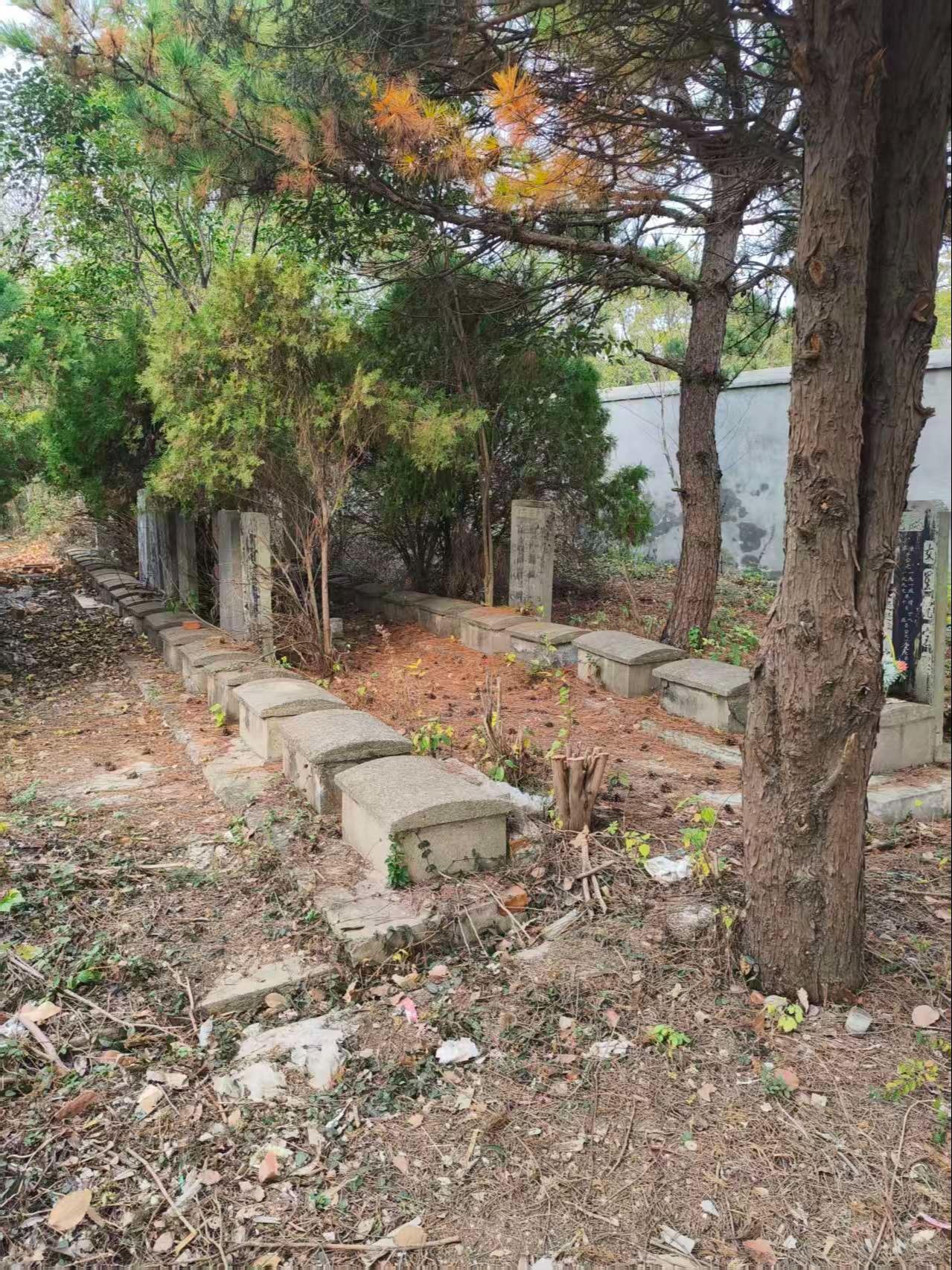 玉山公墓园区图片