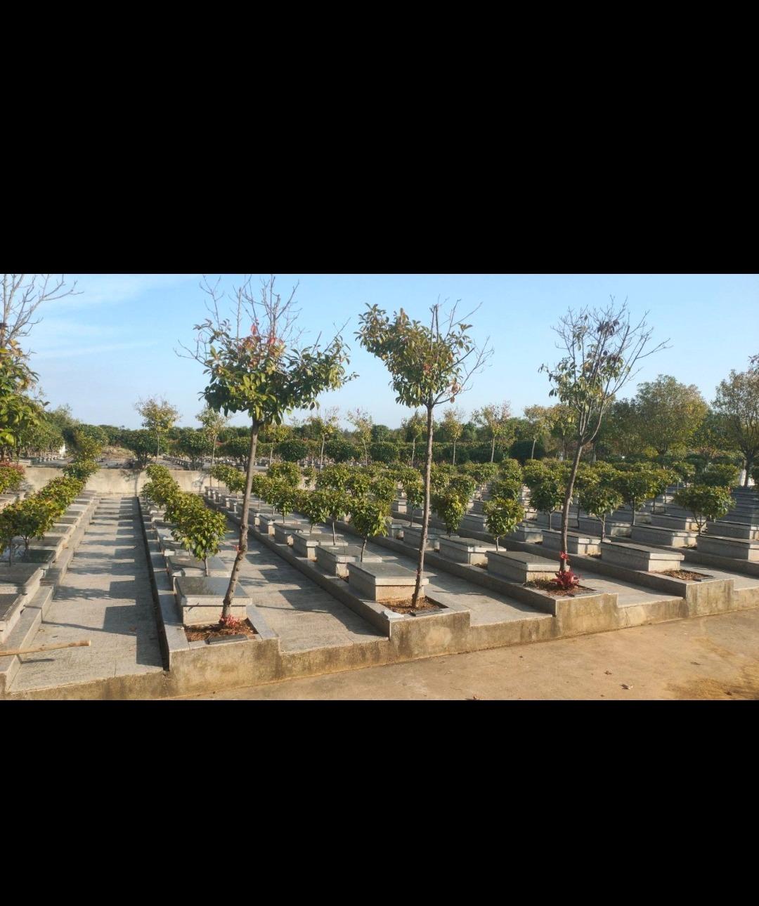 桐城市嬉子湖镇福佑园公墓园区图片