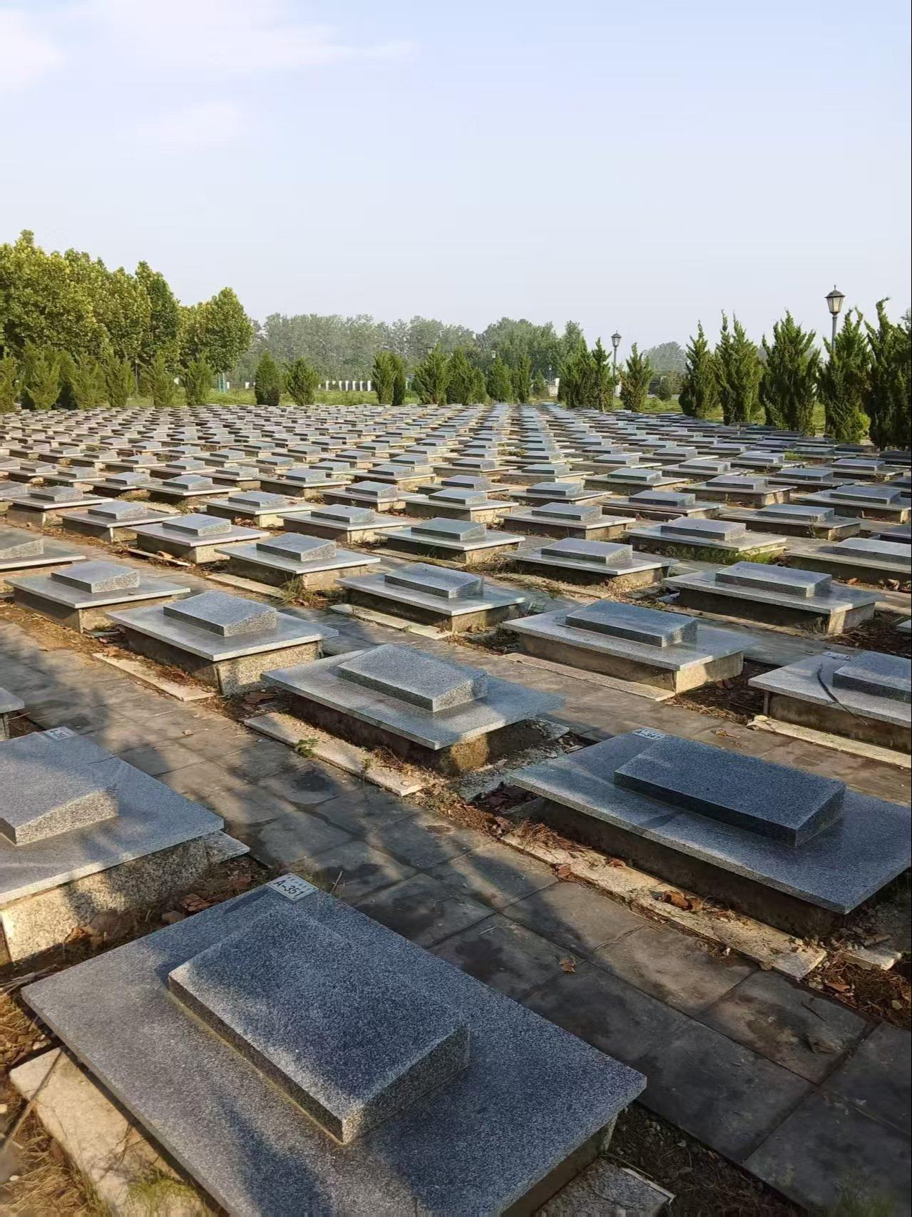 合肥黄花山福寿园园区图片