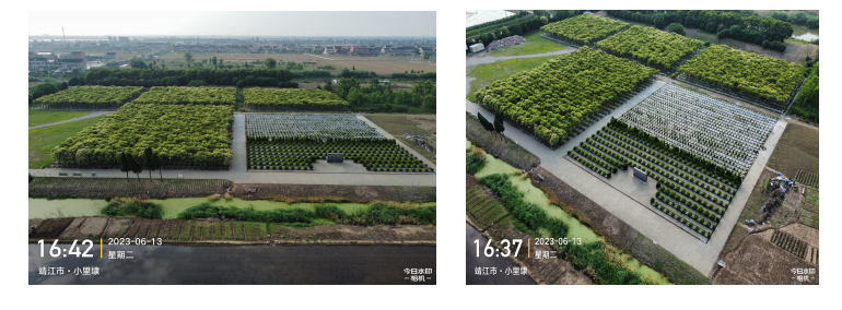 孤山镇勤丰公墓园区图片