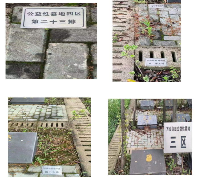 孤山镇勤丰公墓园区图片