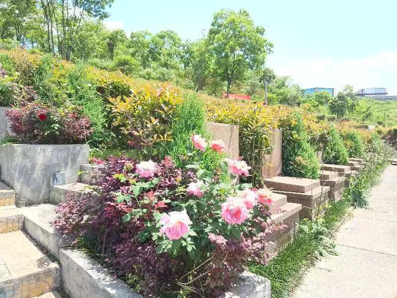 遵义市红花岗区楠山城市公益性公墓园区图片
