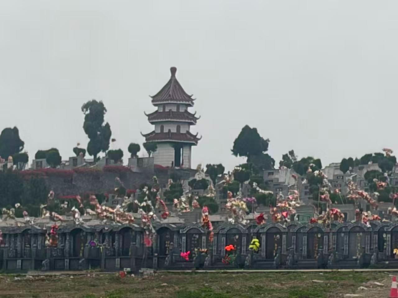 花山公墓园区图片