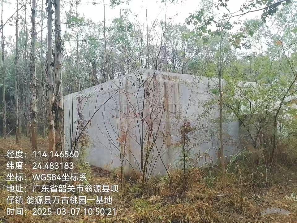 坝仔镇新梅村八、九村小组长安楼园区图片