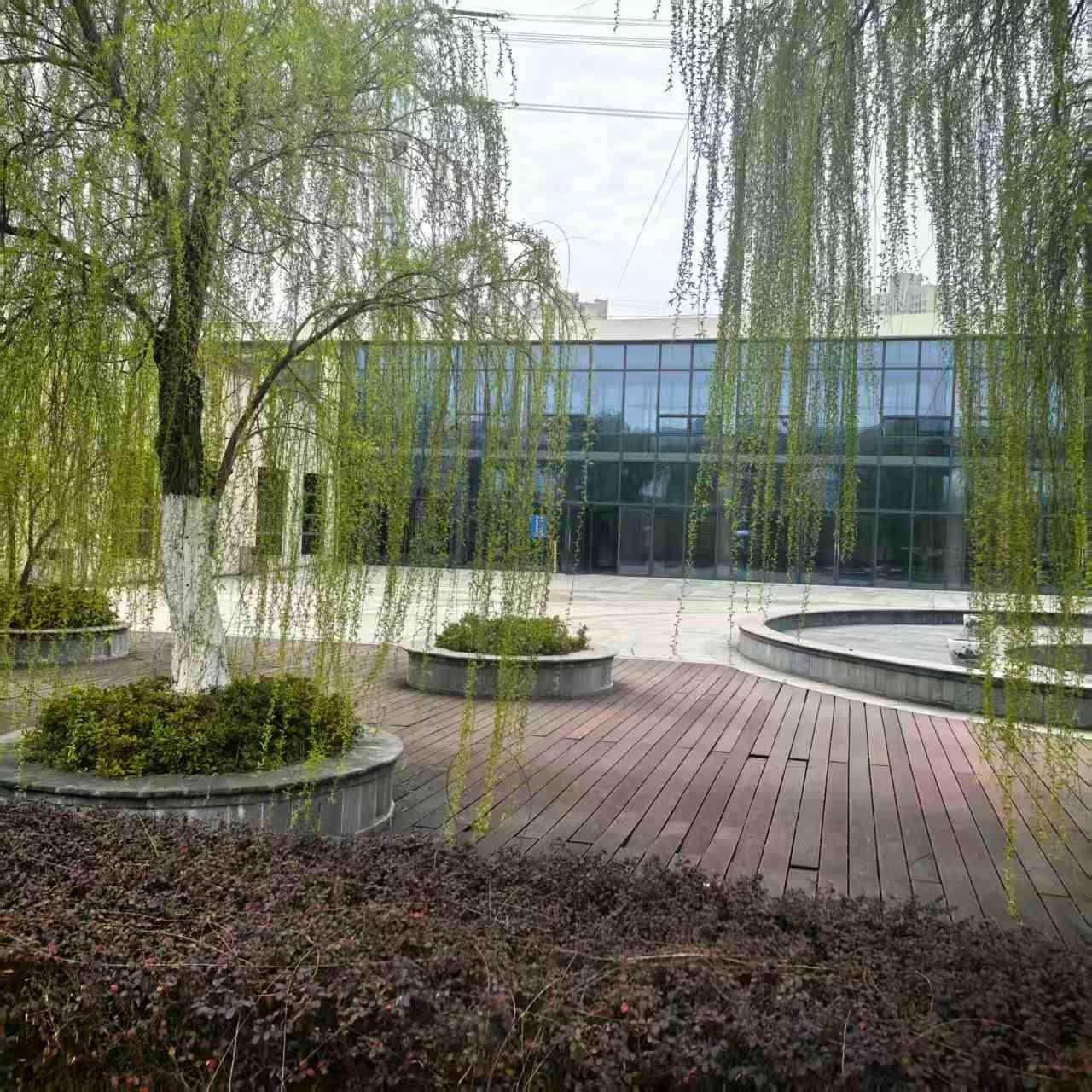合肥市包河区文化陵园管理所园区图片