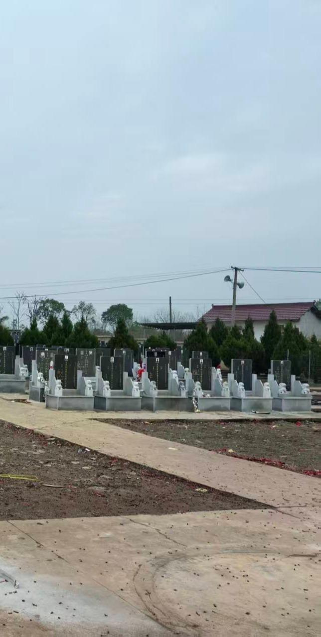 义津村龙岗公益性公墓园区图片