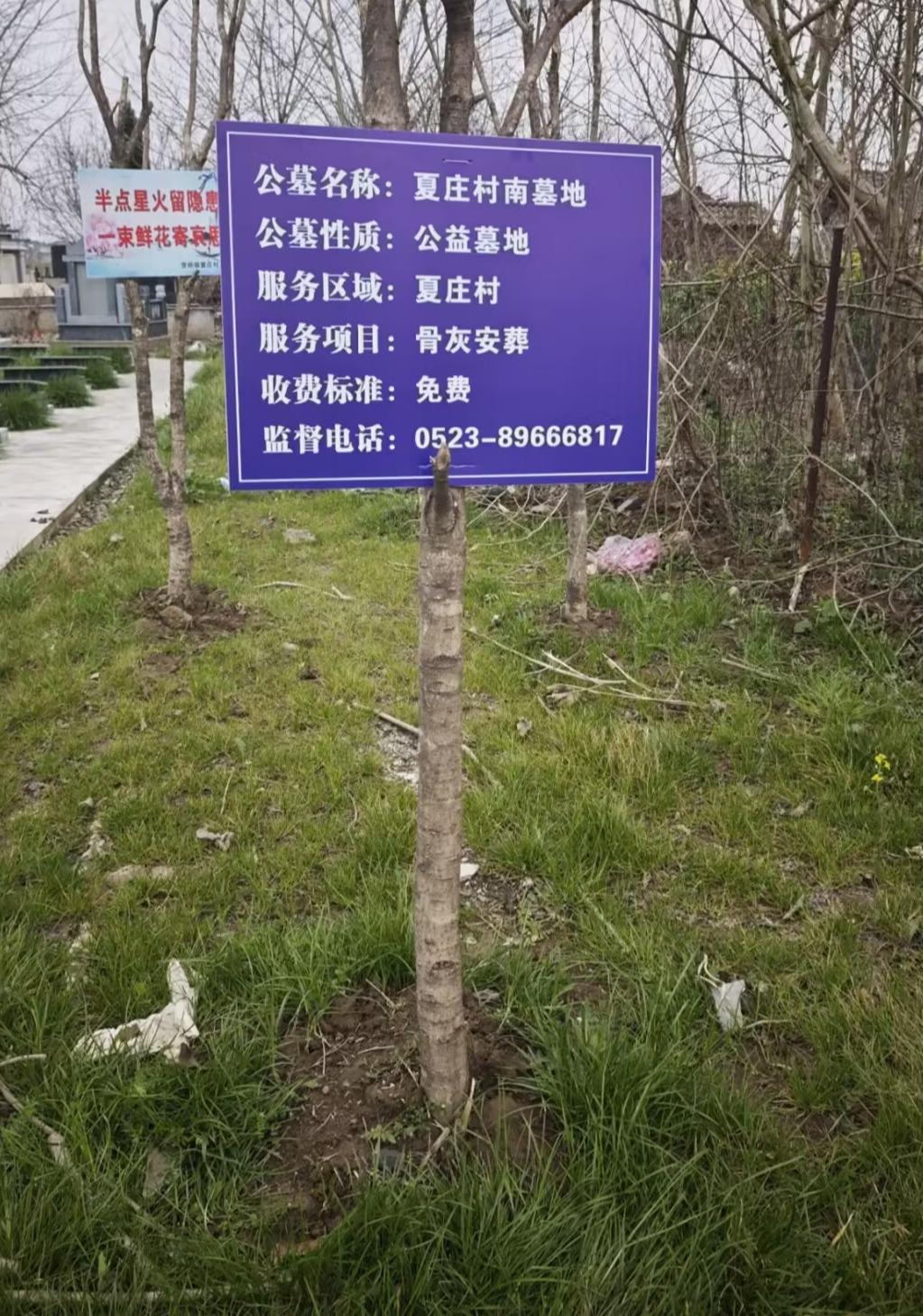 夏庄村公益性公墓园区图片