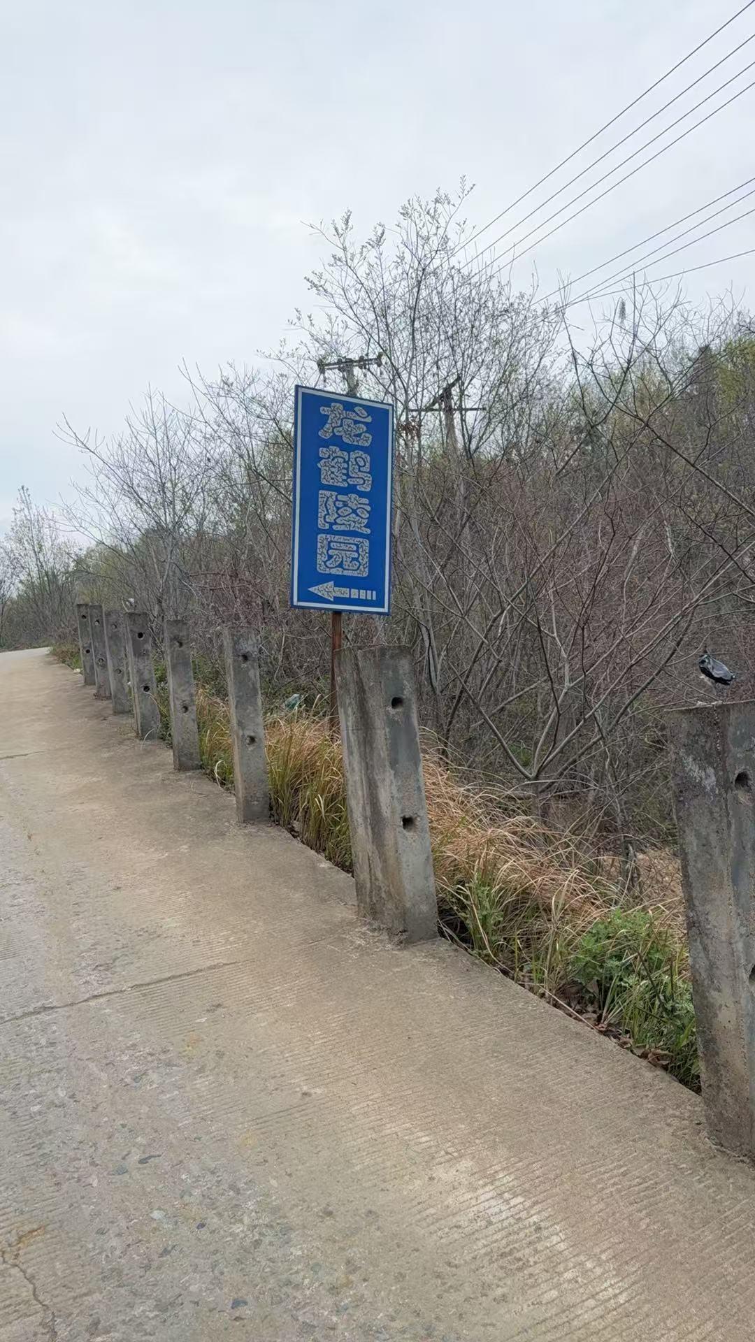 桐城市吕亭镇公益性公墓园区图片