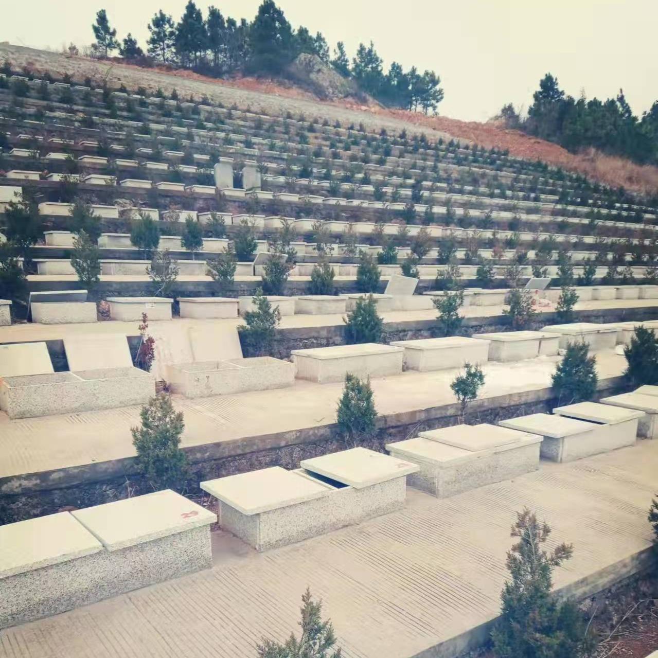 白湖镇蜃山公墓园区图片