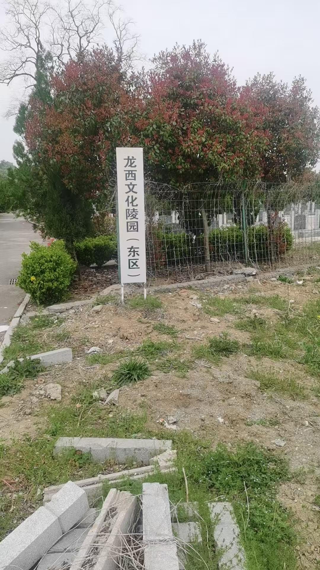 肥东县循环园龙西陵园九连塘墓区