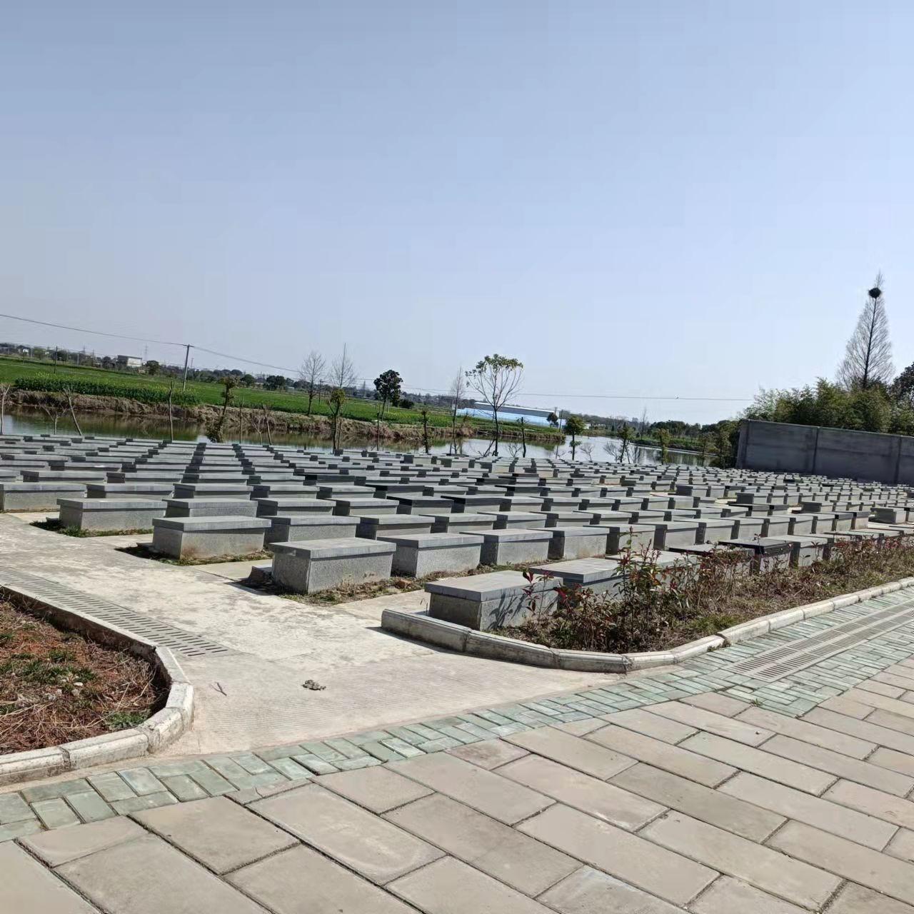 六郎镇永丈公益性公墓园区图片