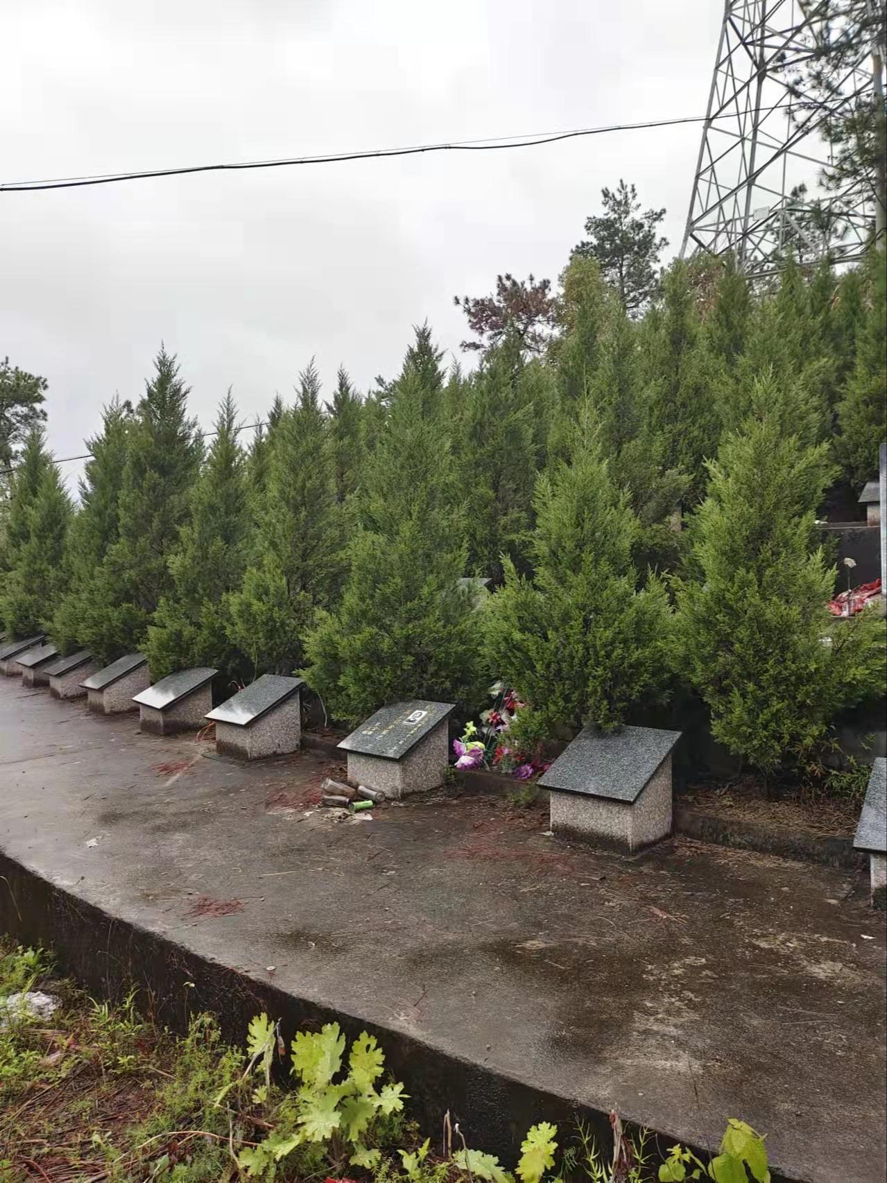 潜山市痘姆乡公益性公墓园区图片