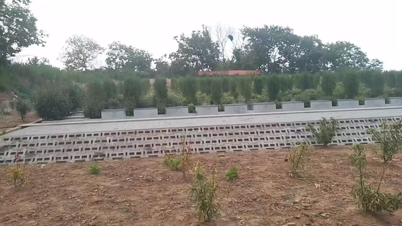 舒城县城市公益性公墓园区图片