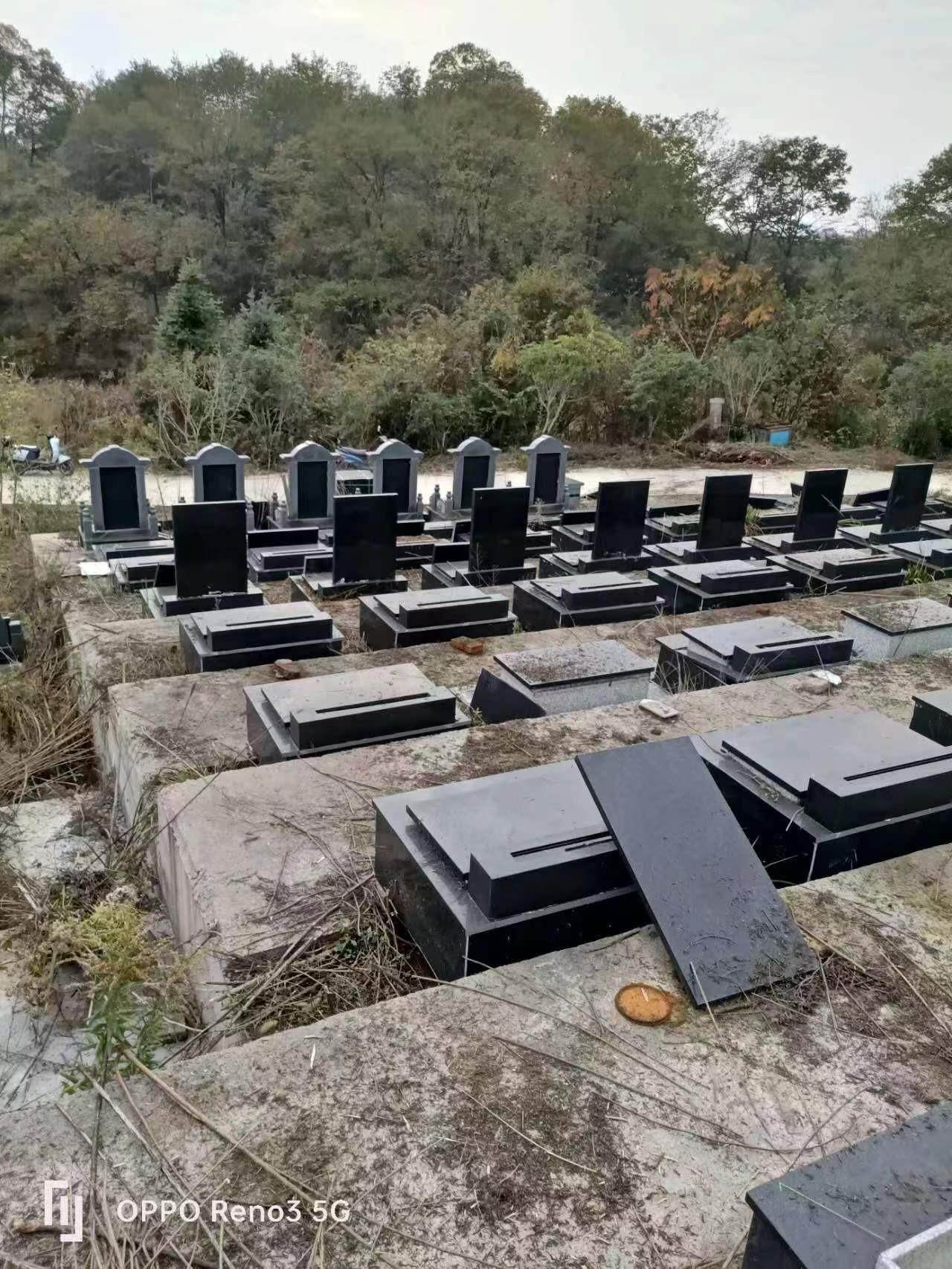 嵩蟾慈奉园园区图片