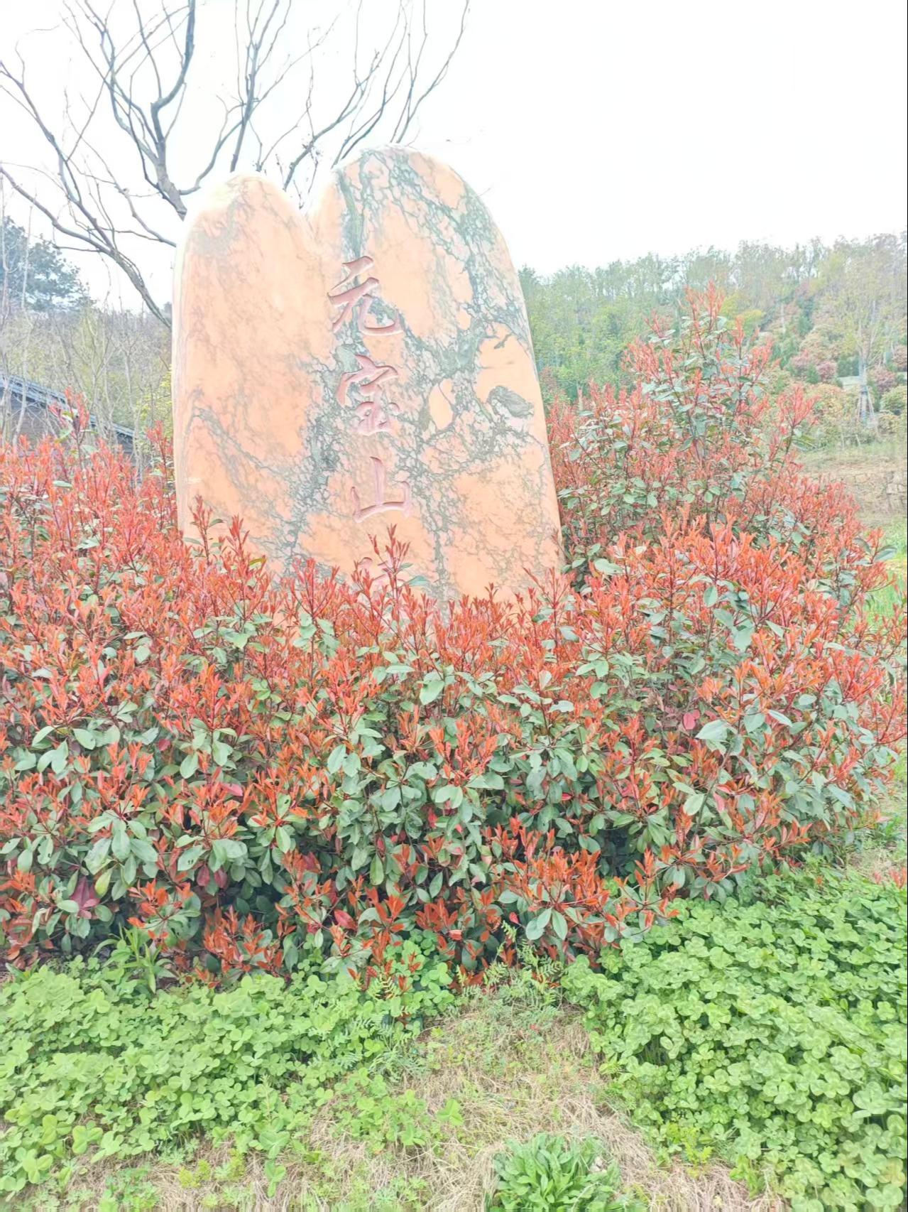 庐江县矾山镇元宝山陵园园区图片